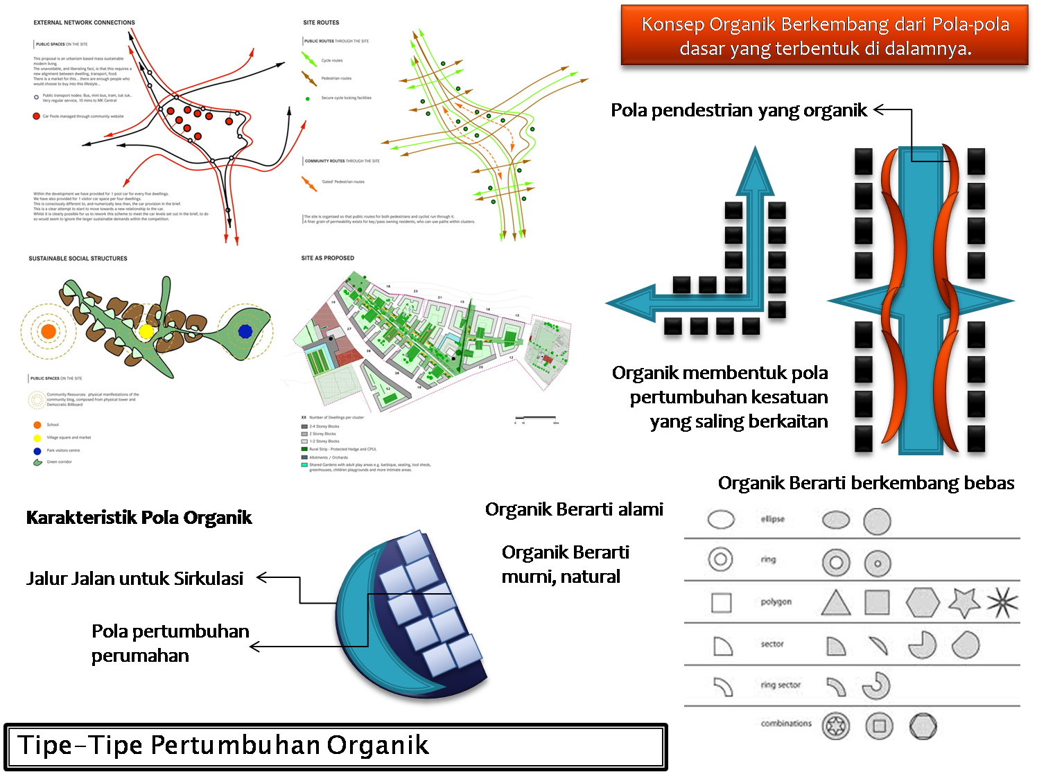 Pola Pertumbuhan Organik